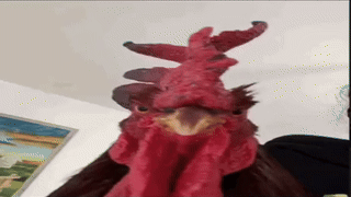 GIF